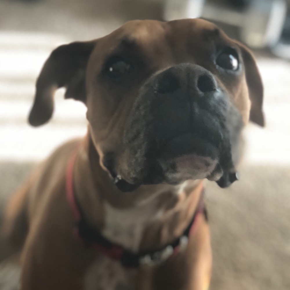 Meet your Posher, Jesse